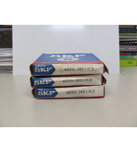 SKF 6020 2RS1/C3
