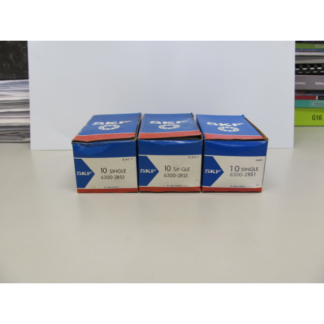 SKF 6300 2RS1